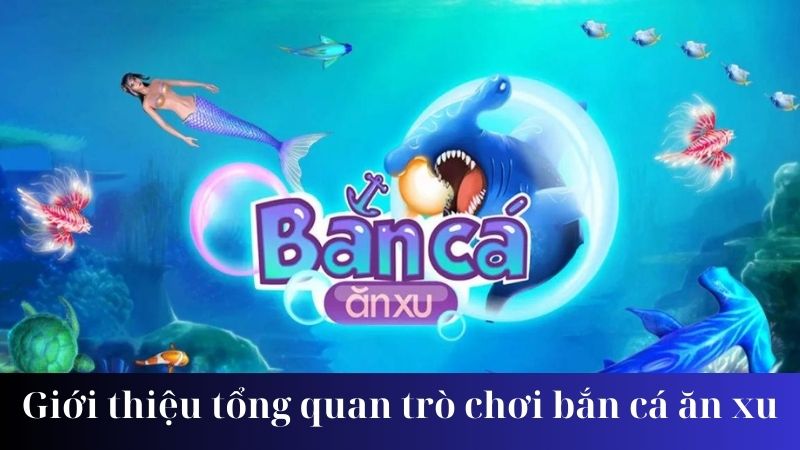 ban ca an xu 1