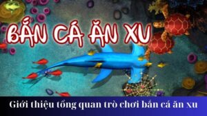 ban ca an xu