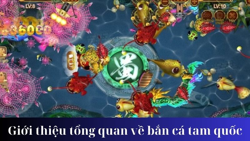 ban ca tam quoc 1