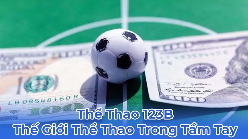 the thao 123b