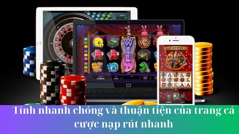 trang ca cuoc nap rut nhanh 1