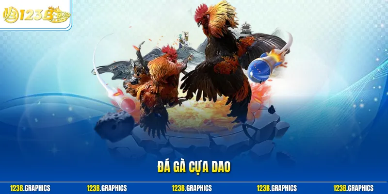 Đá gà cựa dao
