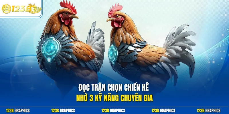 Đọc trận chọn chiến kê nhờ 3 kỹ năng chuyên gia
