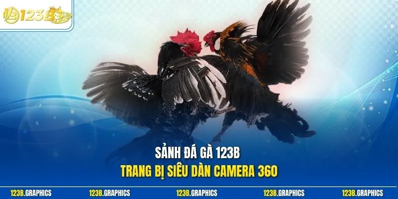 Sảnh đá gà 123B trang bị siêu dàn camera 360