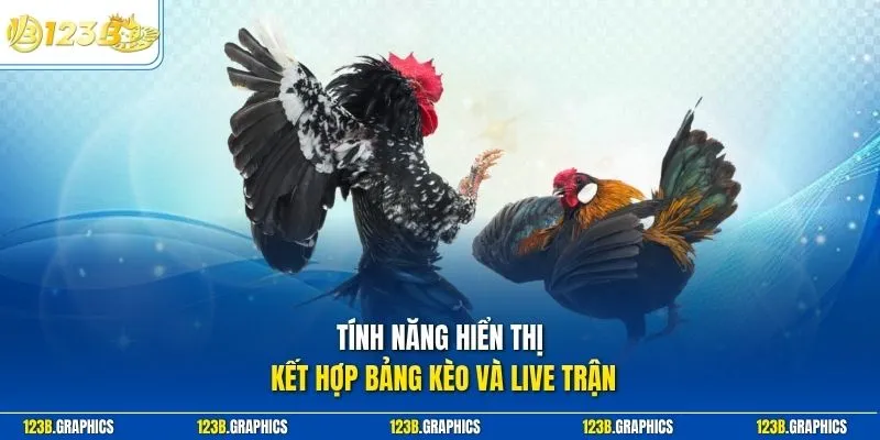 Tính năng hiển thị kết hợp bảng kèo và live trận
