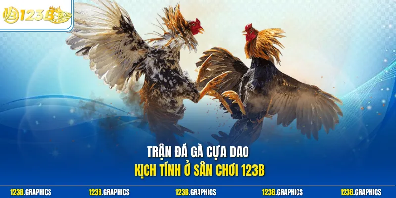 Trận đá gà cựa dao kịch tính ở sân chơi 123B